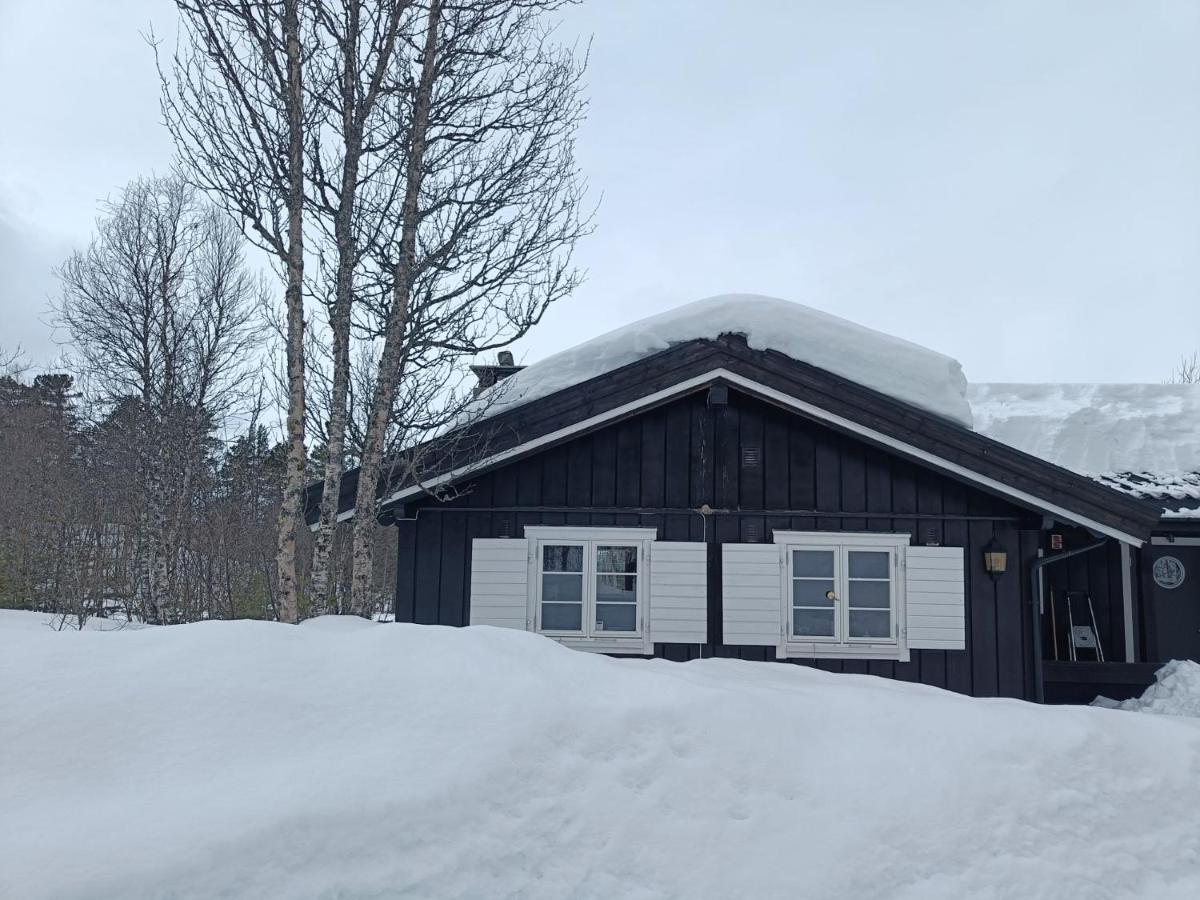 Baybu - Cabin Close Geilo Skisenter And The Center Of Geilo Villa Ngoại thất bức ảnh