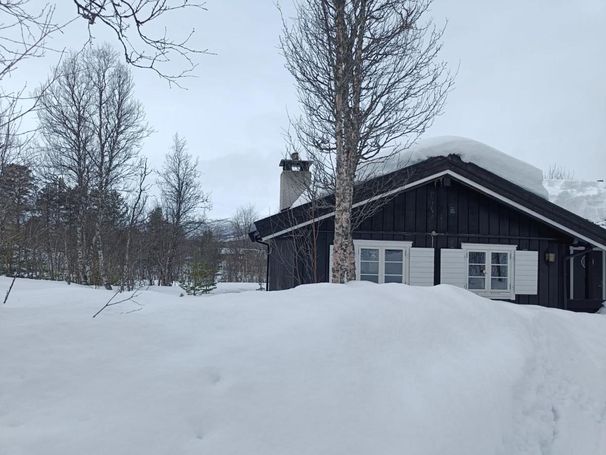 Baybu - Cabin Close Geilo Skisenter And The Center Of Geilo Villa Ngoại thất bức ảnh