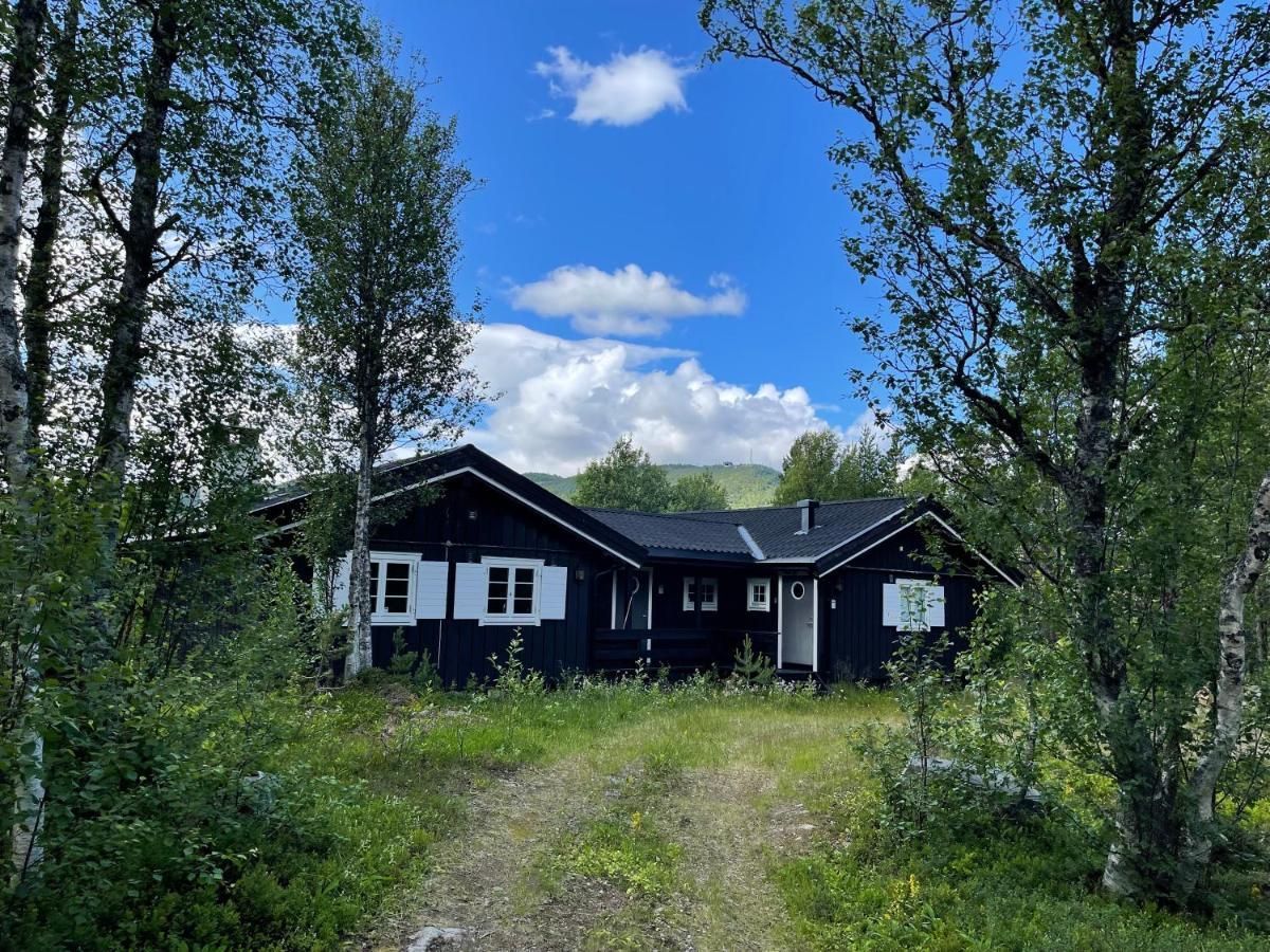 Baybu - Cabin Close Geilo Skisenter And The Center Of Geilo Villa Ngoại thất bức ảnh