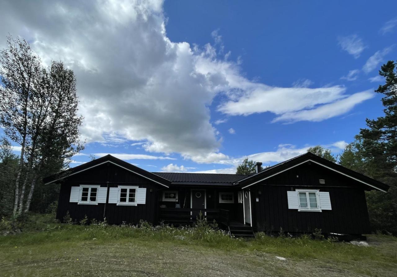 Baybu - Cabin Close Geilo Skisenter And The Center Of Geilo Villa Ngoại thất bức ảnh