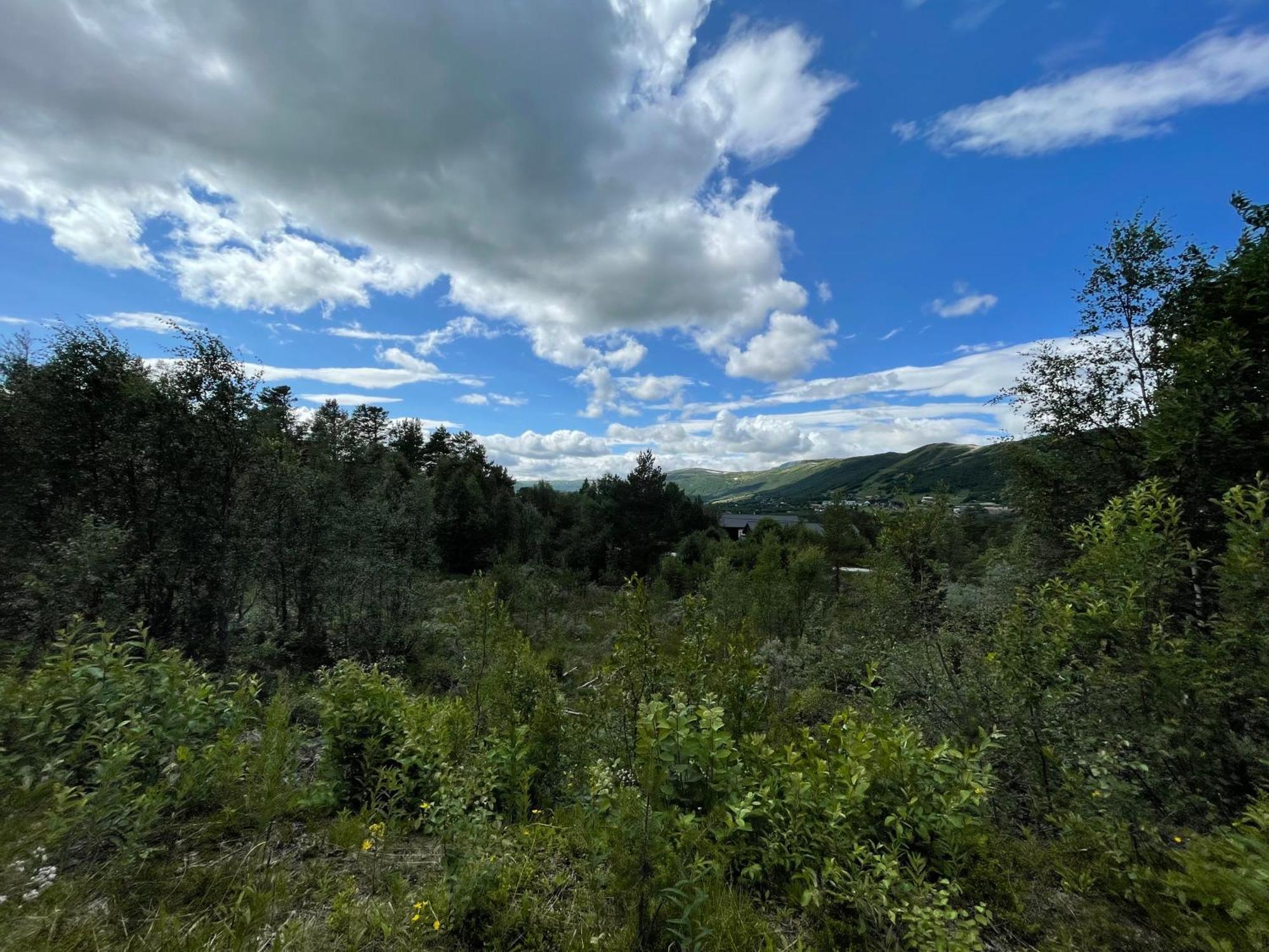 Baybu - Cabin Close Geilo Skisenter And The Center Of Geilo Villa Ngoại thất bức ảnh