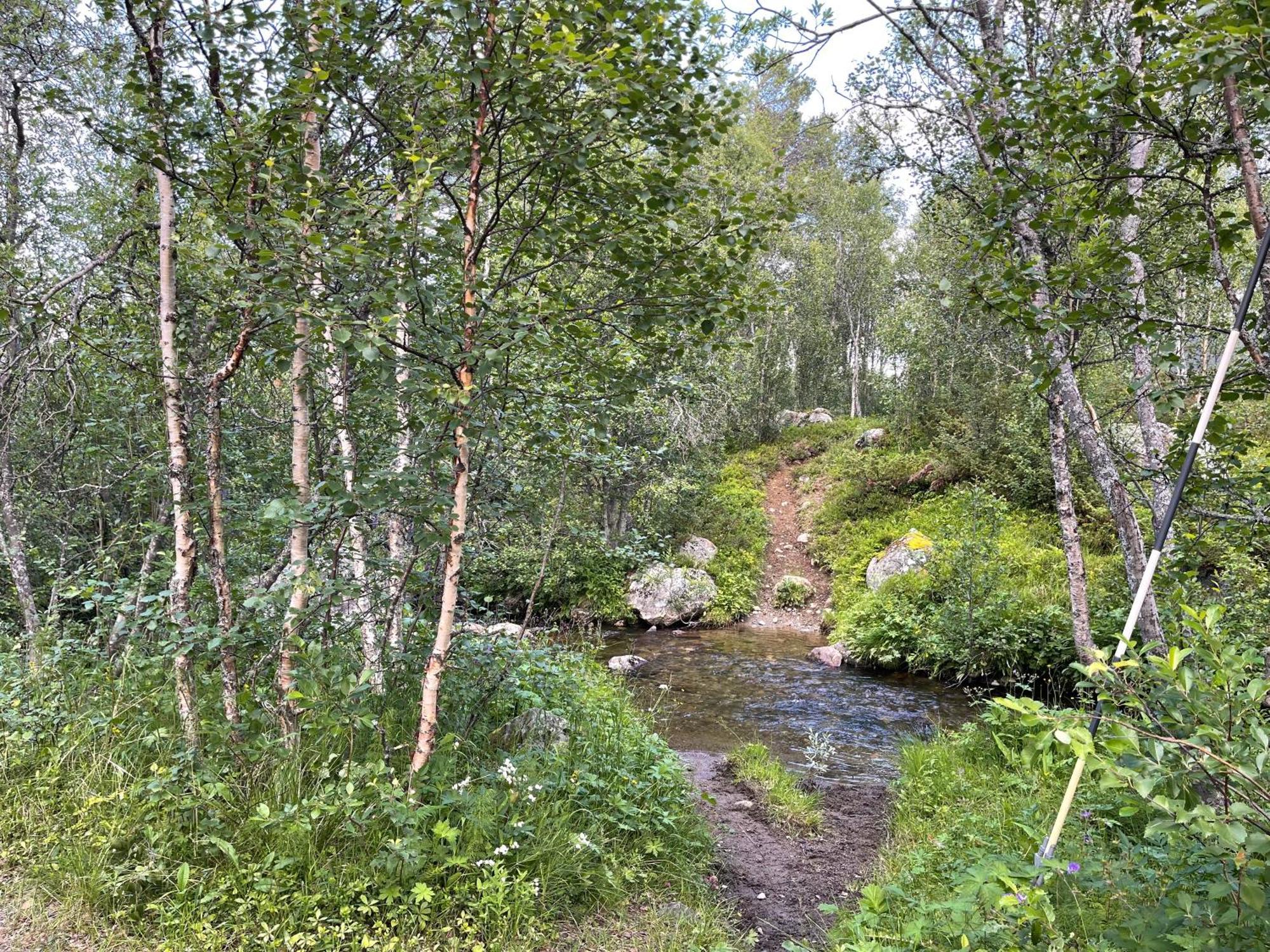 Baybu - Cabin Close Geilo Skisenter And The Center Of Geilo Villa Ngoại thất bức ảnh